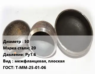 Заглушка стальная 50 Сталь: 20 Ру1.6 межфланцевая, плоская ГОСТ: Т-ММ-25-01-06